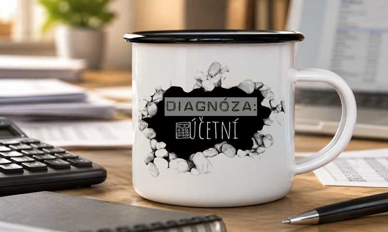 Plecháčky účetní